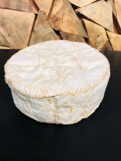 camembert